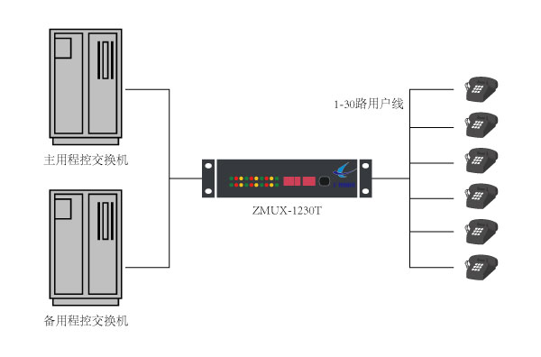 ZMUX-1230T組網應用圖